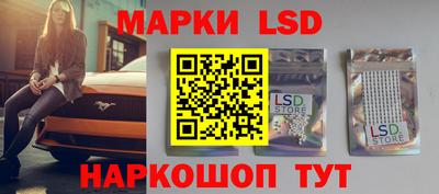 ПСИЛОЦИБИНОВЫЕ ГРИБЫ Аргун
